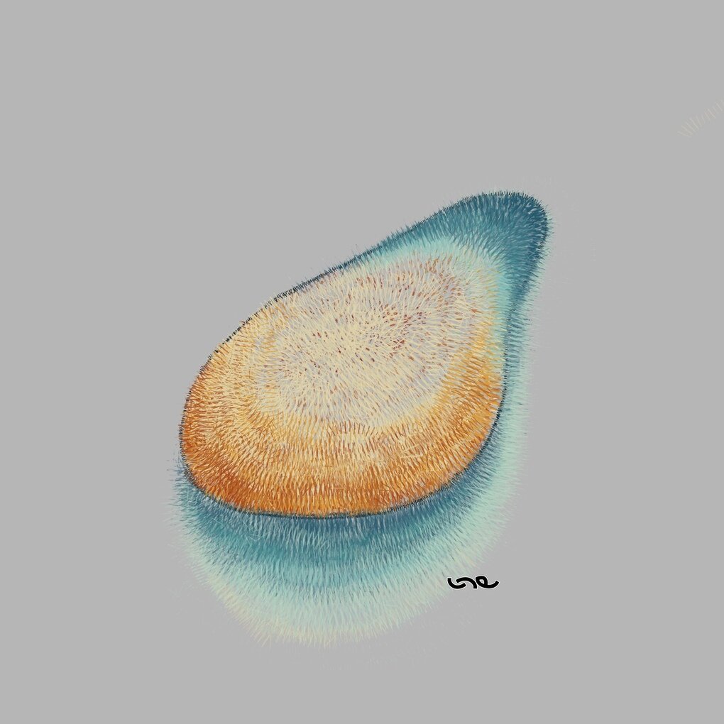 Rock_On.jpg